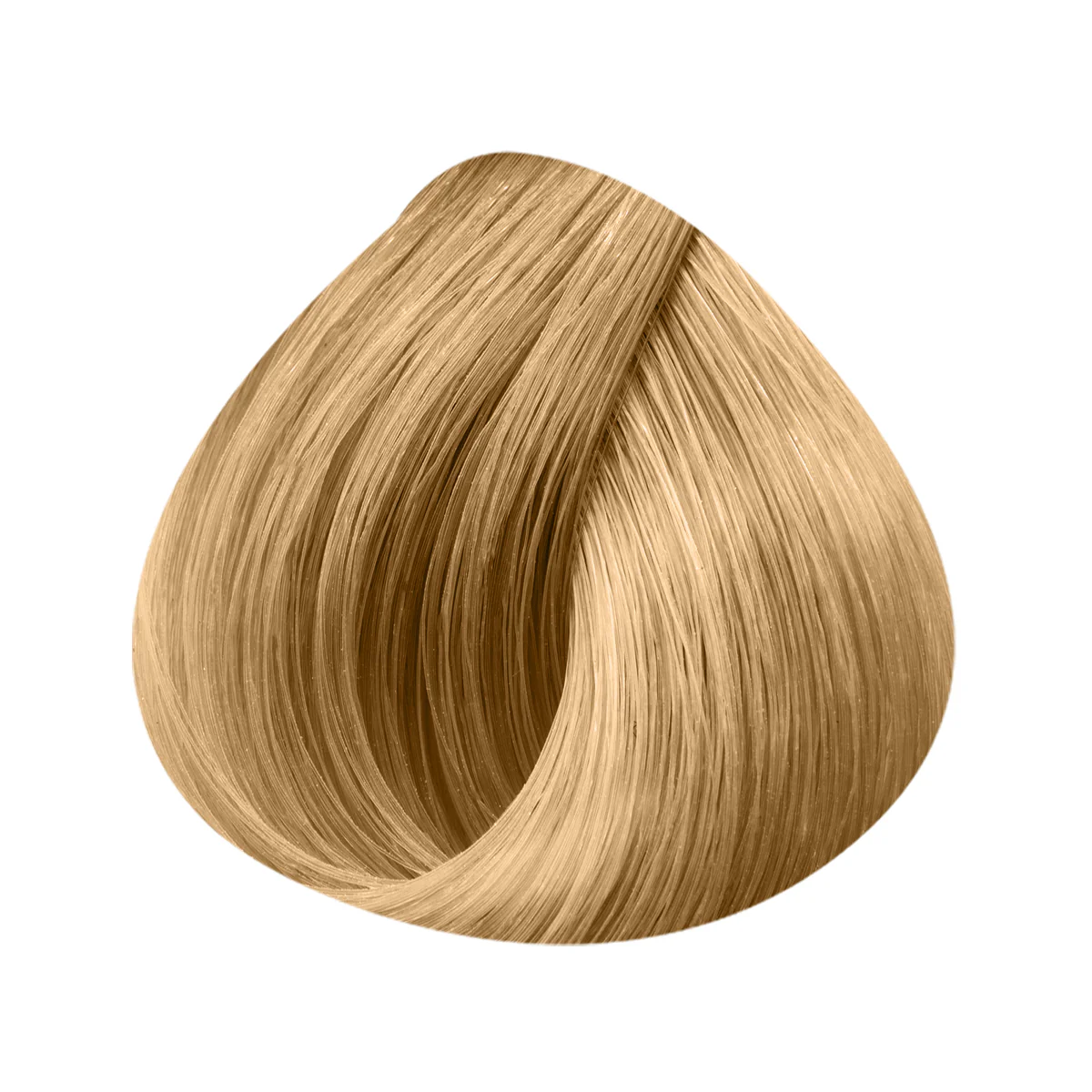 Image du produit 19